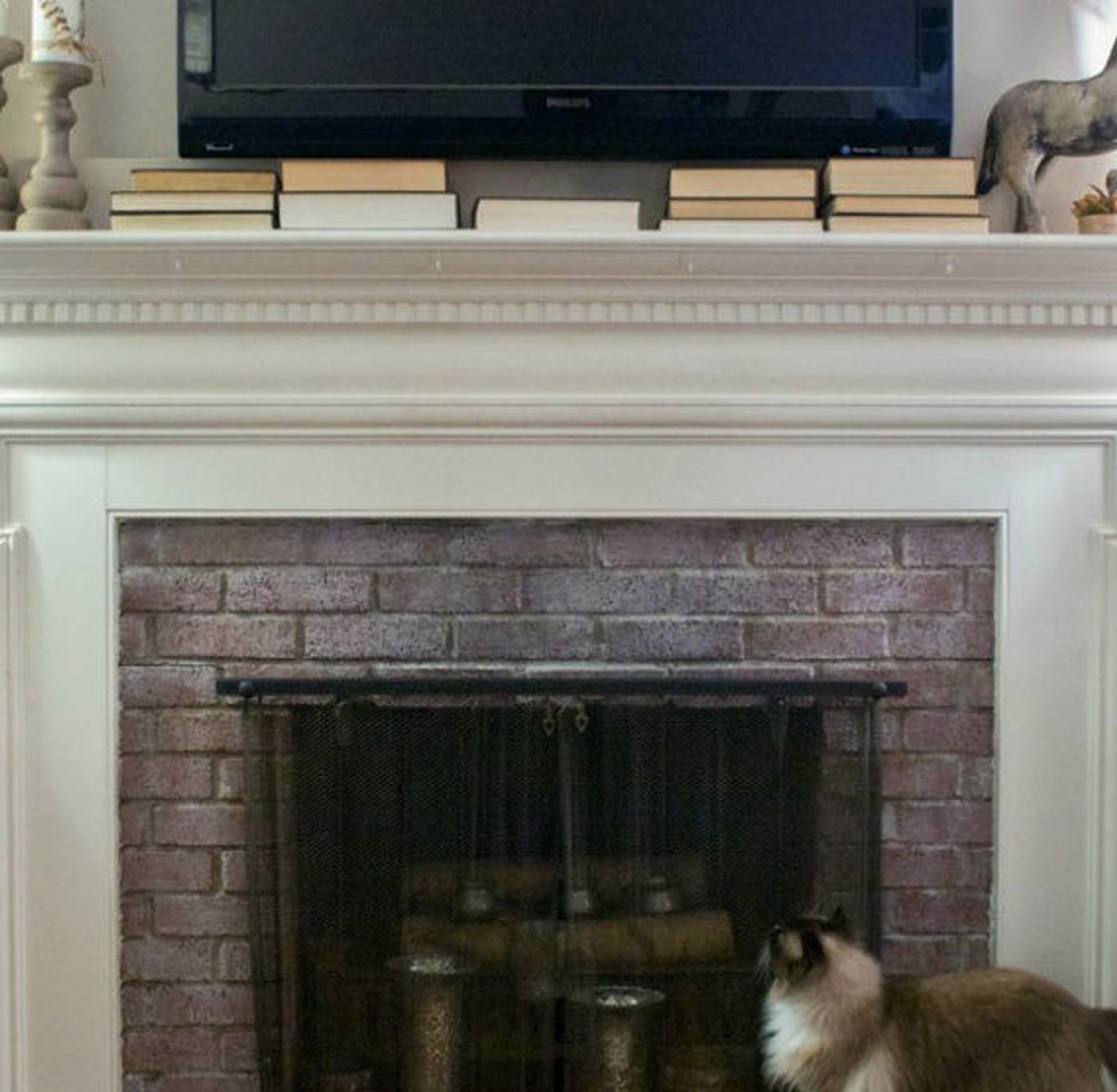 Whitewashed brick fireplace with white mantle. There is a small dog in front of the fireplace and a TV hung above the mantle.