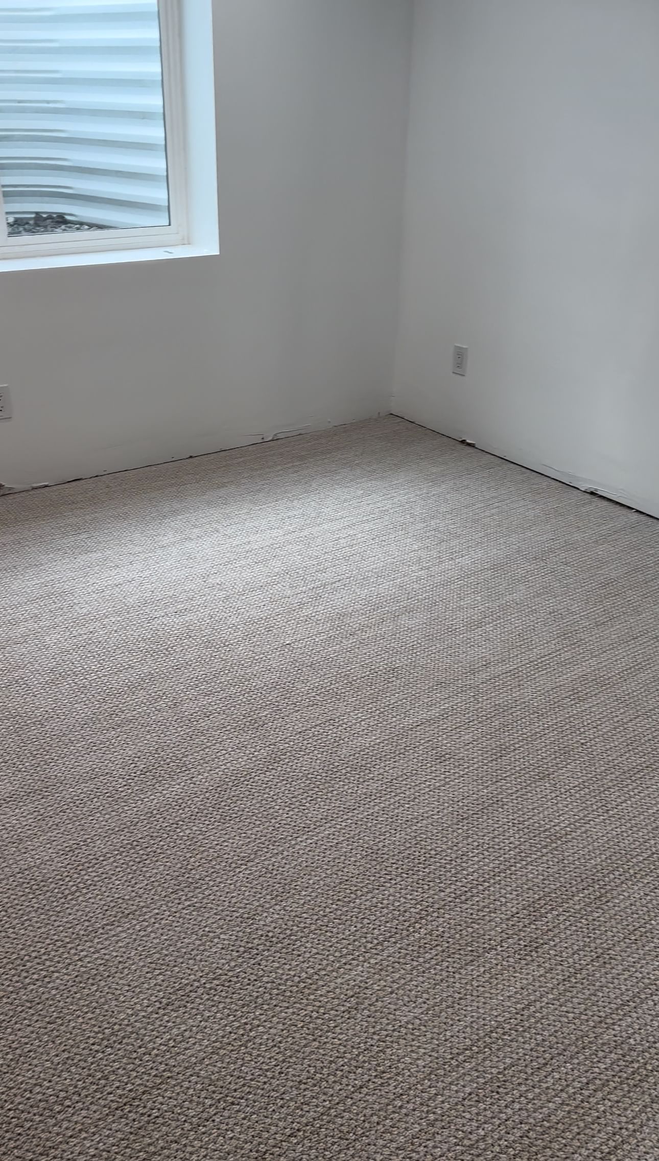 An empty room with beige carpet and white walls. Sunlight streams through a window, casting a soft glow. The space feels clean and minimalist.