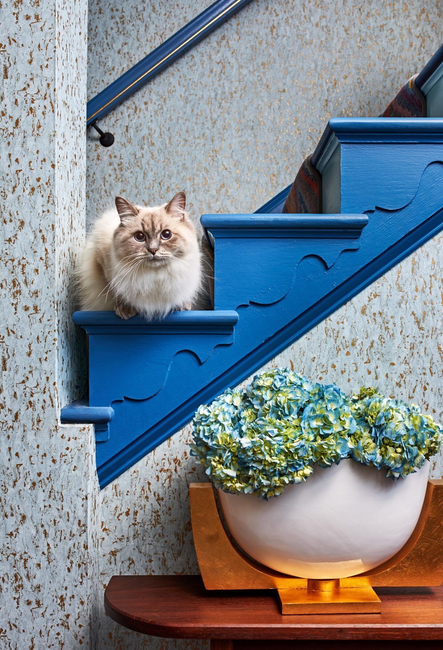 Bold blue painted steps with a kitty sitting on top, and faux wallpaper on walls