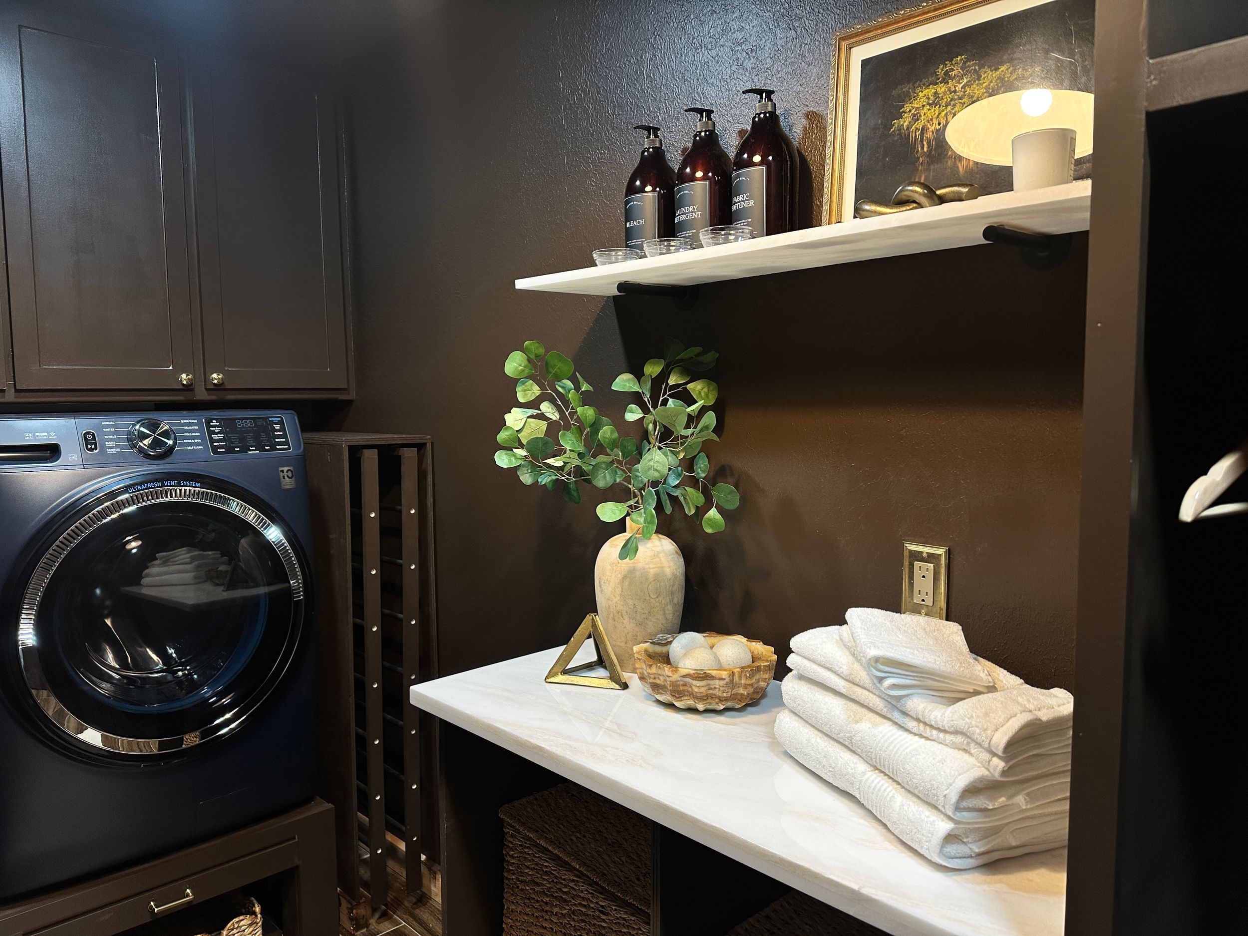 Modern Brown Color Drenched Laundry room