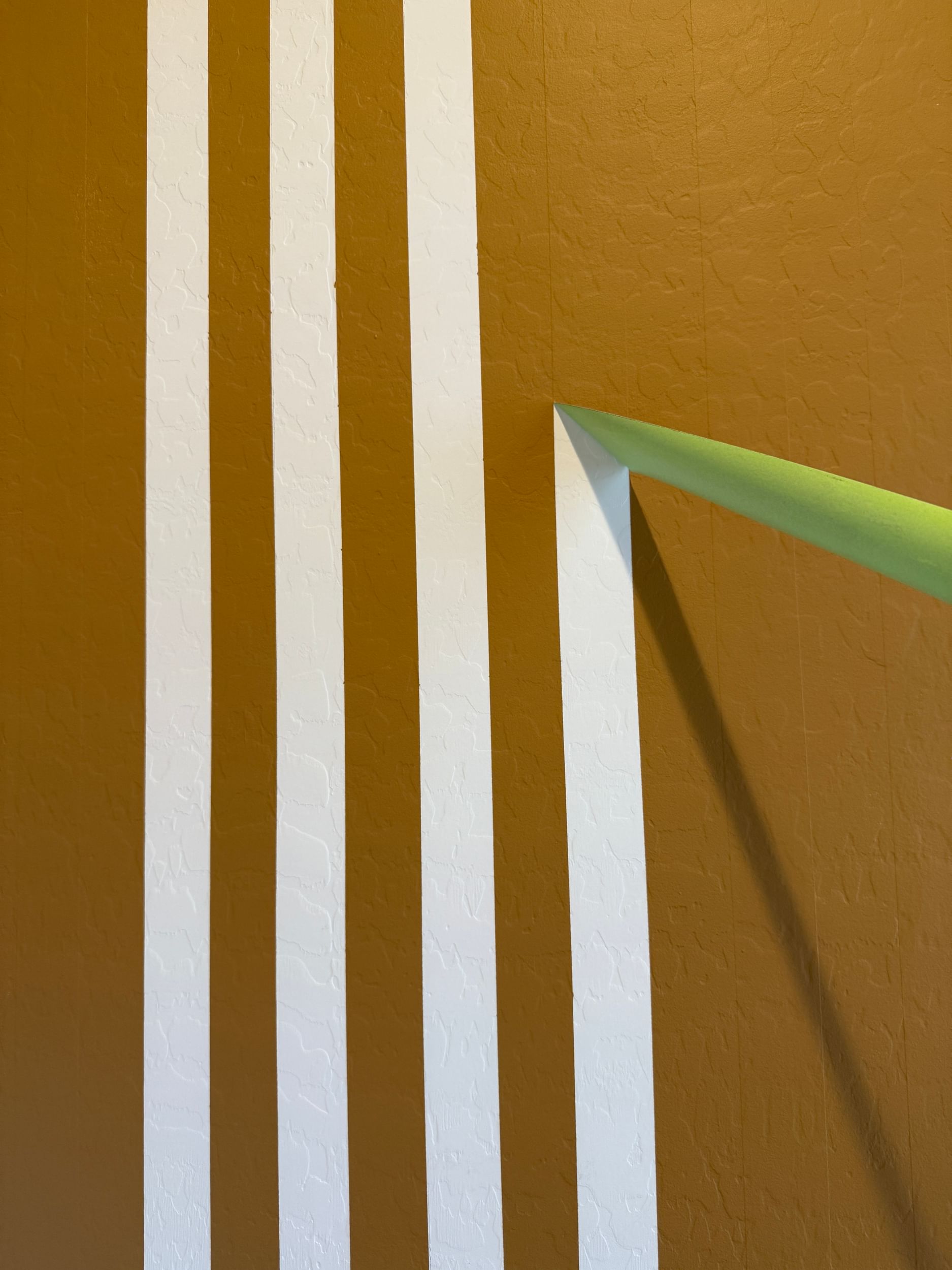 FrogTape Advanced being peeled off of a wall to reveal crisp striped paint lines